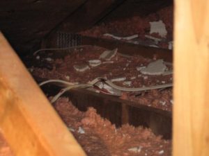 MISSING INSULATIONS
